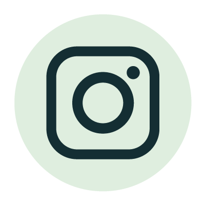 Instagram Icon Button